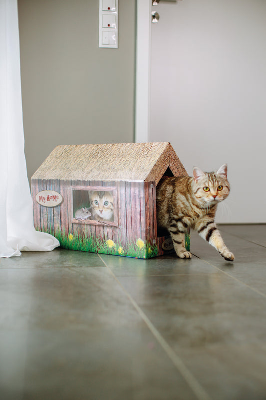 Katzenhaus aus Karton
