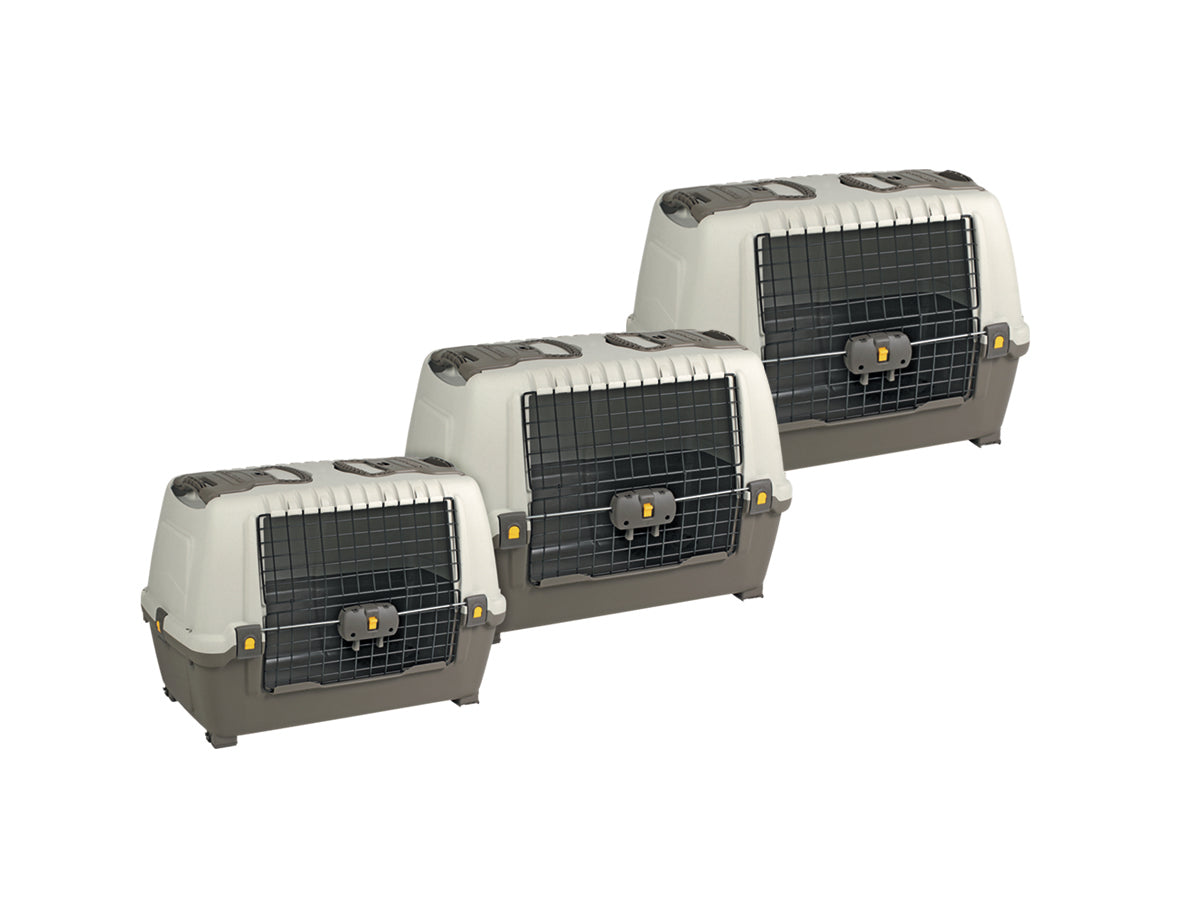 Auto-Transportbox „SKUDO CAR“