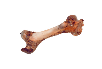 Rinderknochen