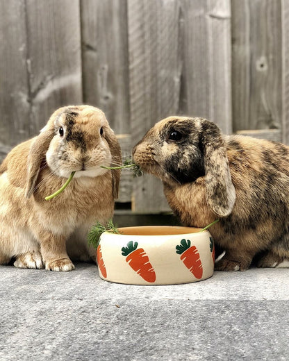 Keramik-Futtertröge und Schale „Carrot“