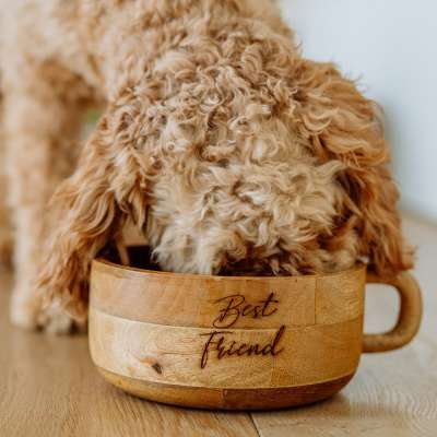 „Best Friend“ Holznäpfe