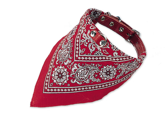 Halsband mit Tuch