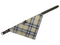 Halsband mit Tuch