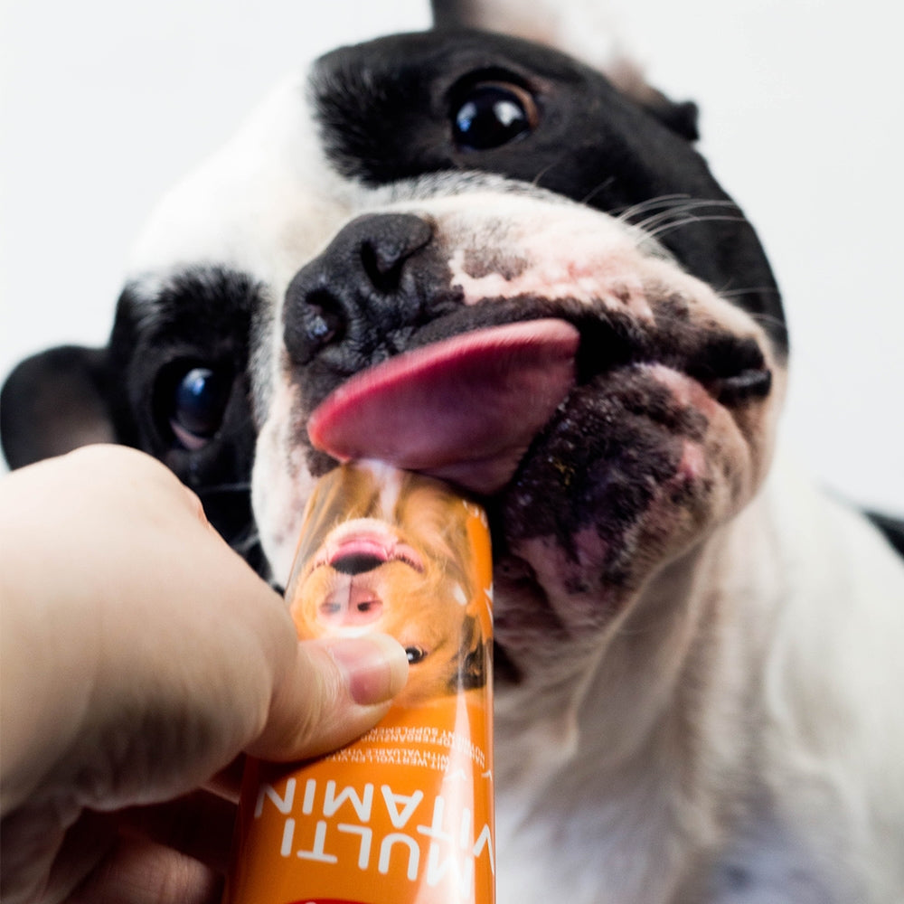 Multivitaminpaste Hund