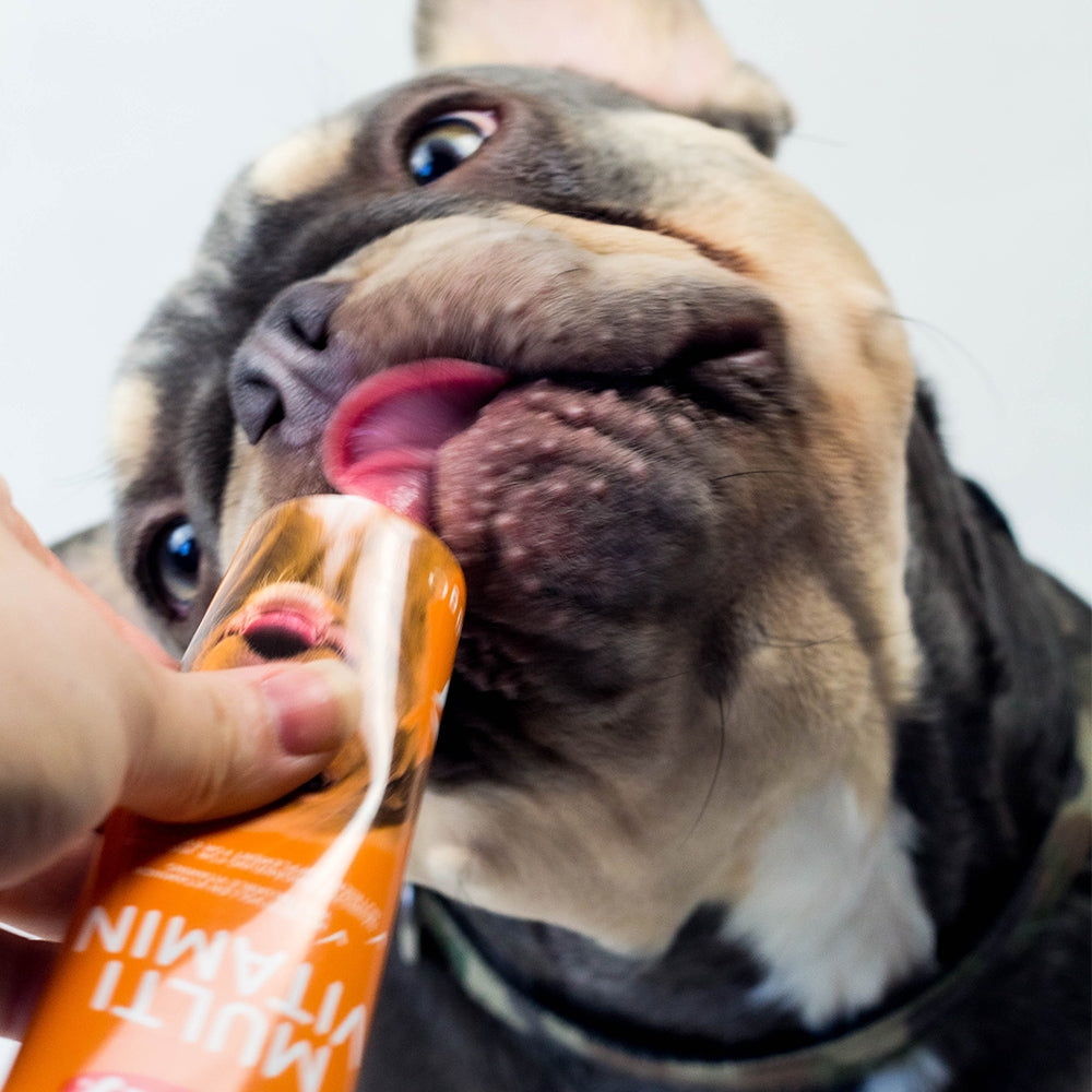 Multivitaminpaste Hund