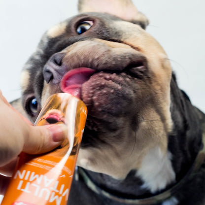 Multivitaminpaste Hund