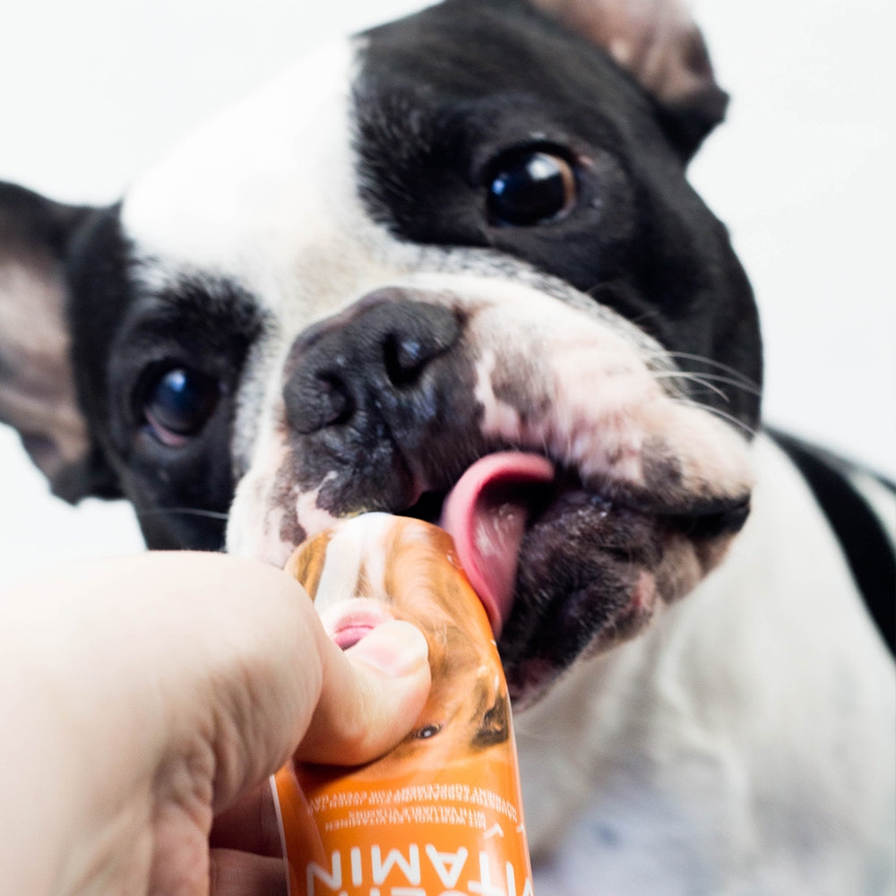 Multivitaminpaste Hund