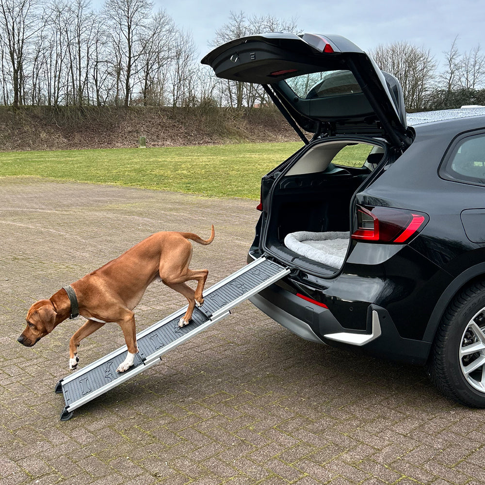 Aluminium Teleskop-Rampe