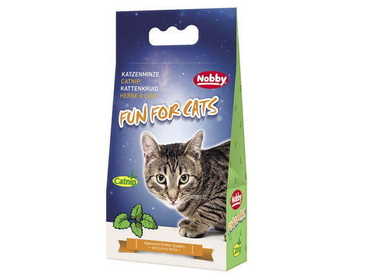 Katzenminze