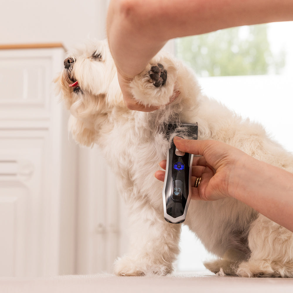 Tierhaarschneidemaschine WAHL Professional "Smart Clip"