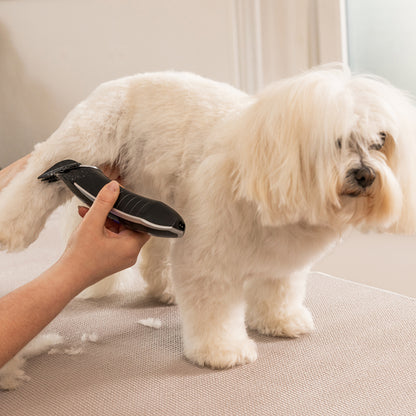 Tierhaarschneidemaschine WAHL Professional "Smart Clip"