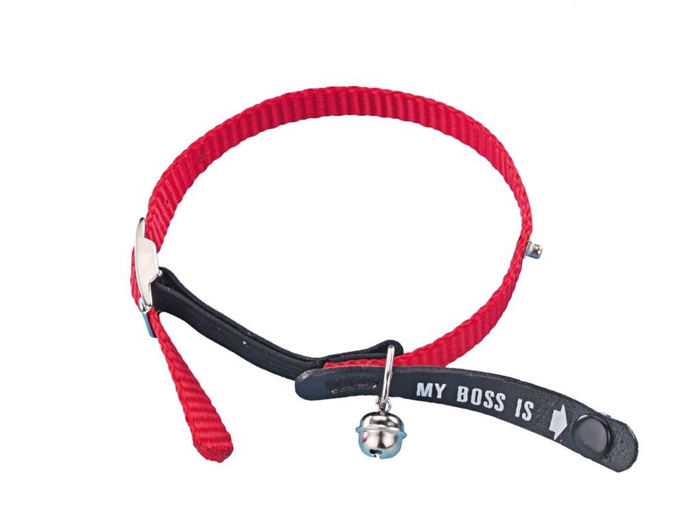 Adress-Katzenhalsband "My Boss is"