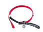 Adress-Katzenhalsband "My Boss is"