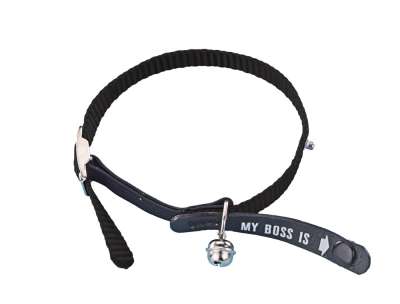 Adress-Katzenhalsband "My Boss is"