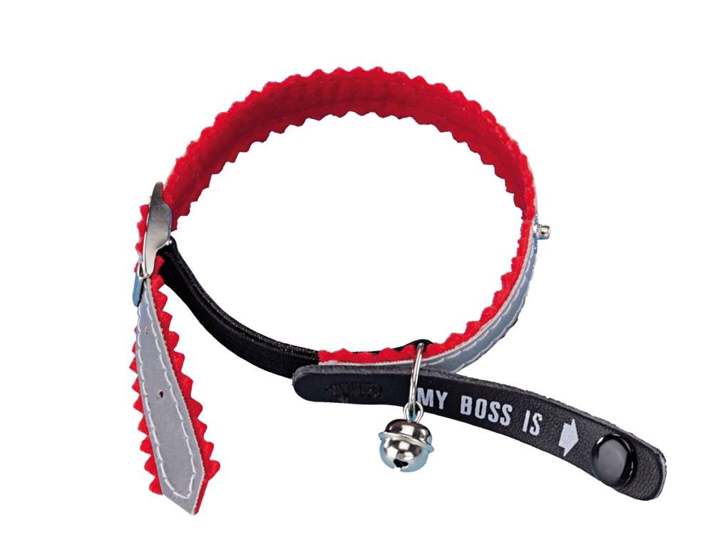 Adress-Katzenhalsband "My Boss is"