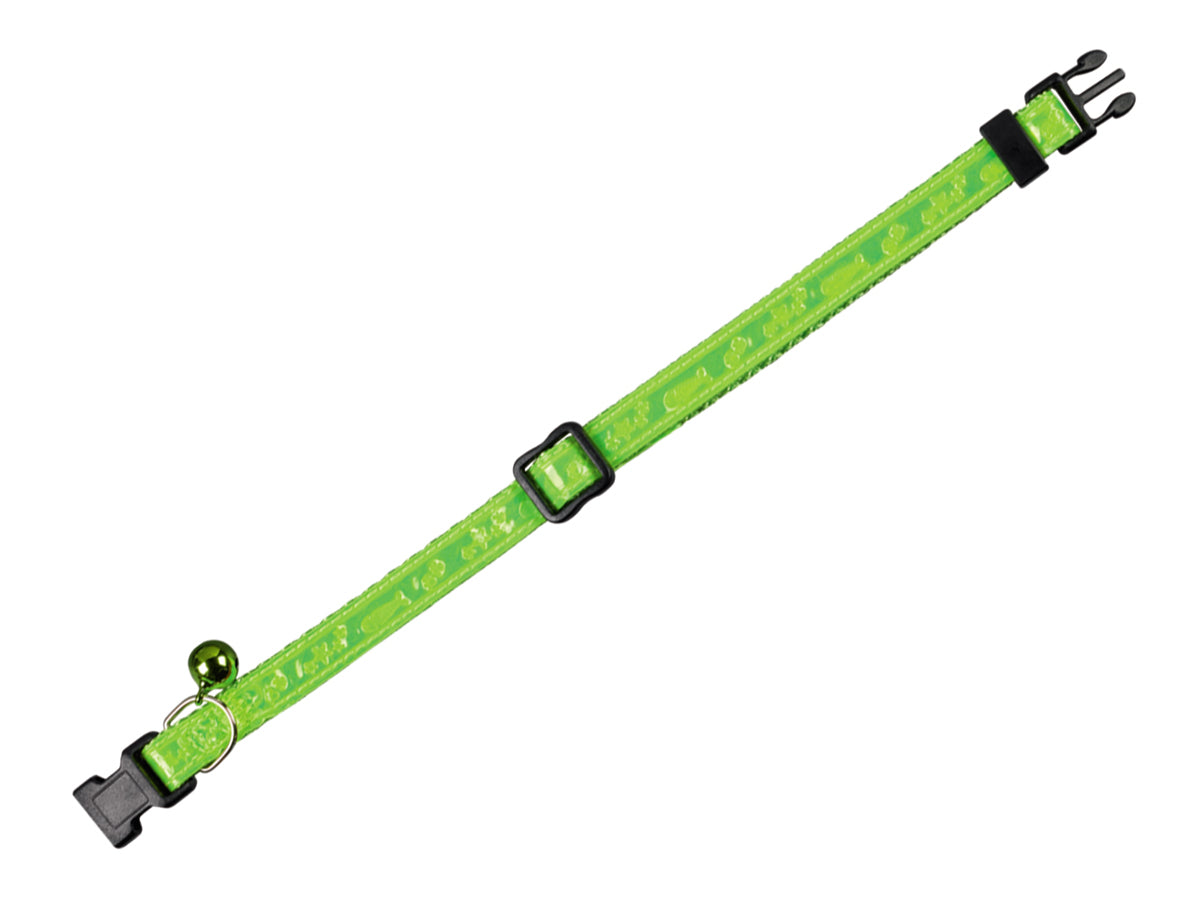 Katzenhalsband Neon