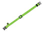Katzenhalsband Neon