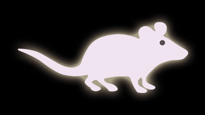 LED Pointer „Mouse“