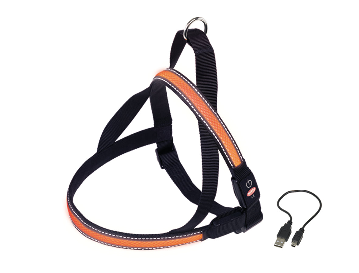 Norwegergeschirr "FLASH MESH"