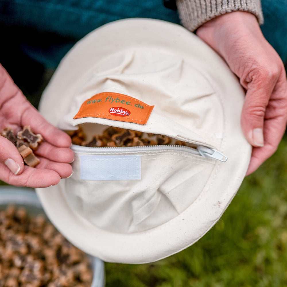 Flybee