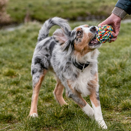 Spielseile Ball