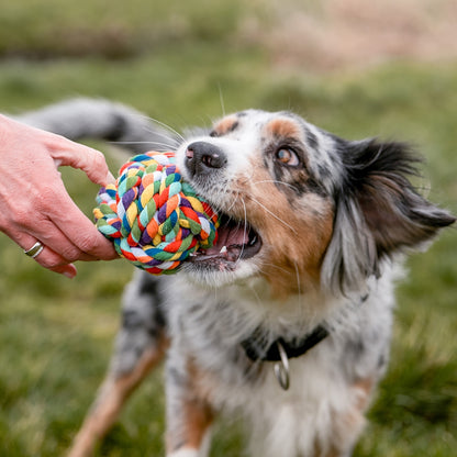 Spielseile Ball