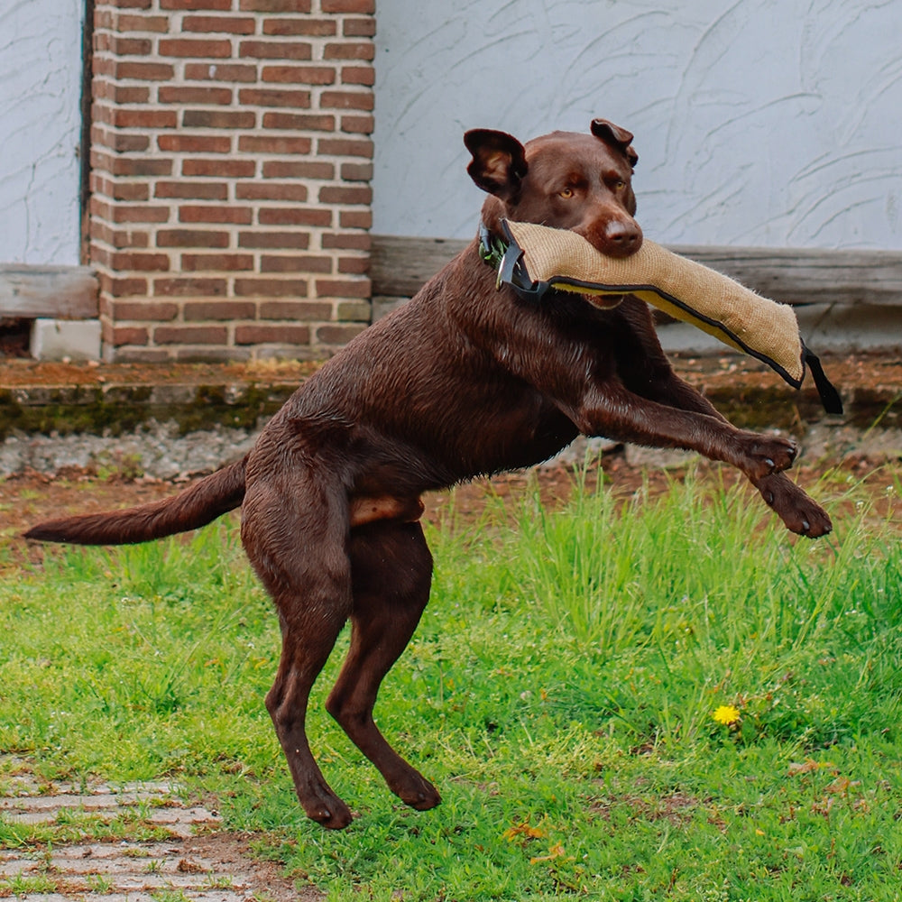 Jute Dummy