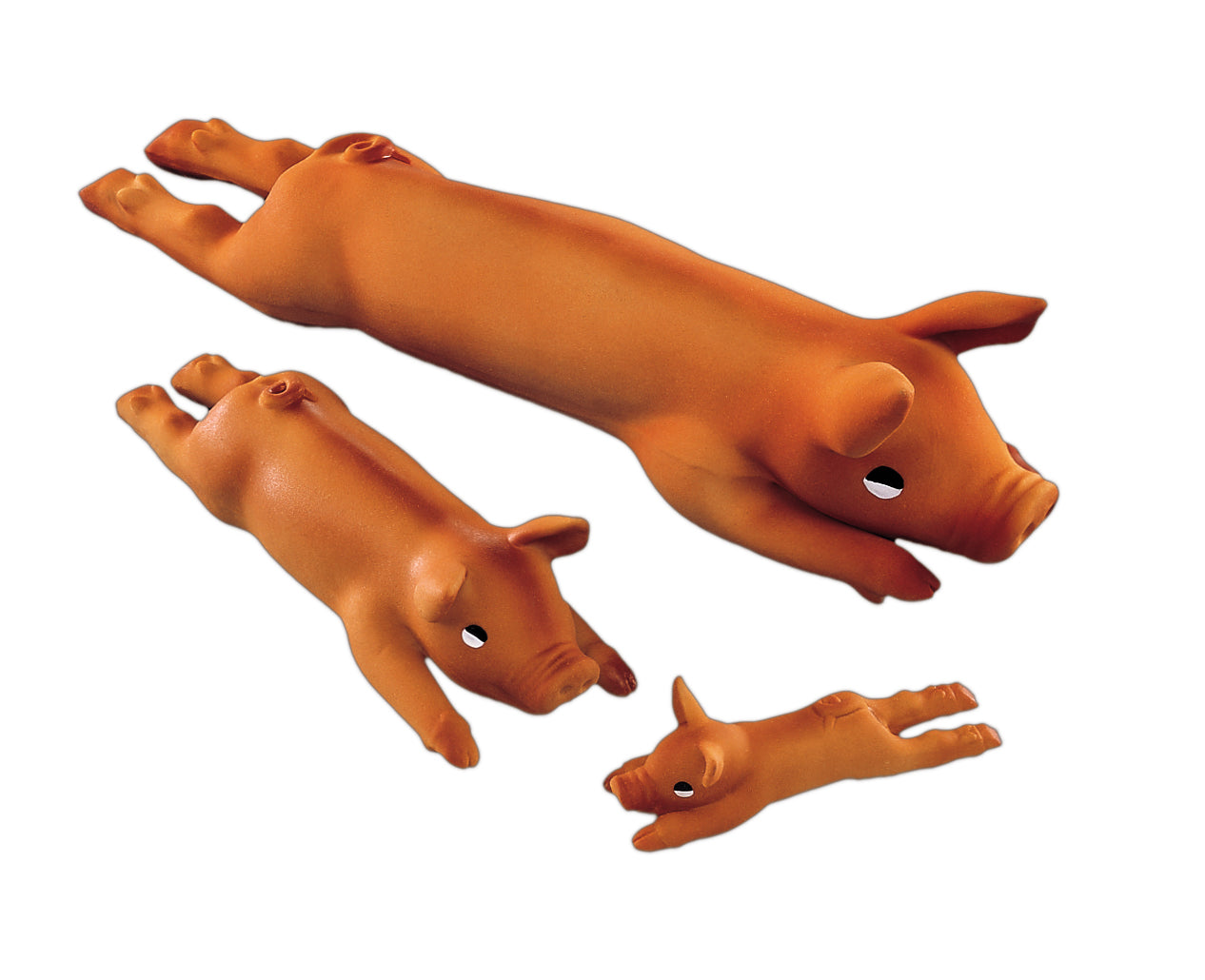 Latex Schwein