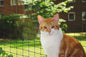 Katzenschutznetz