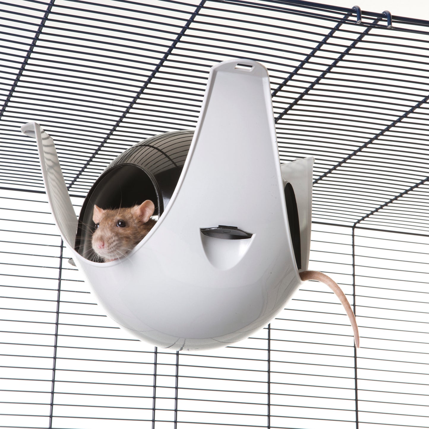 Sputnik