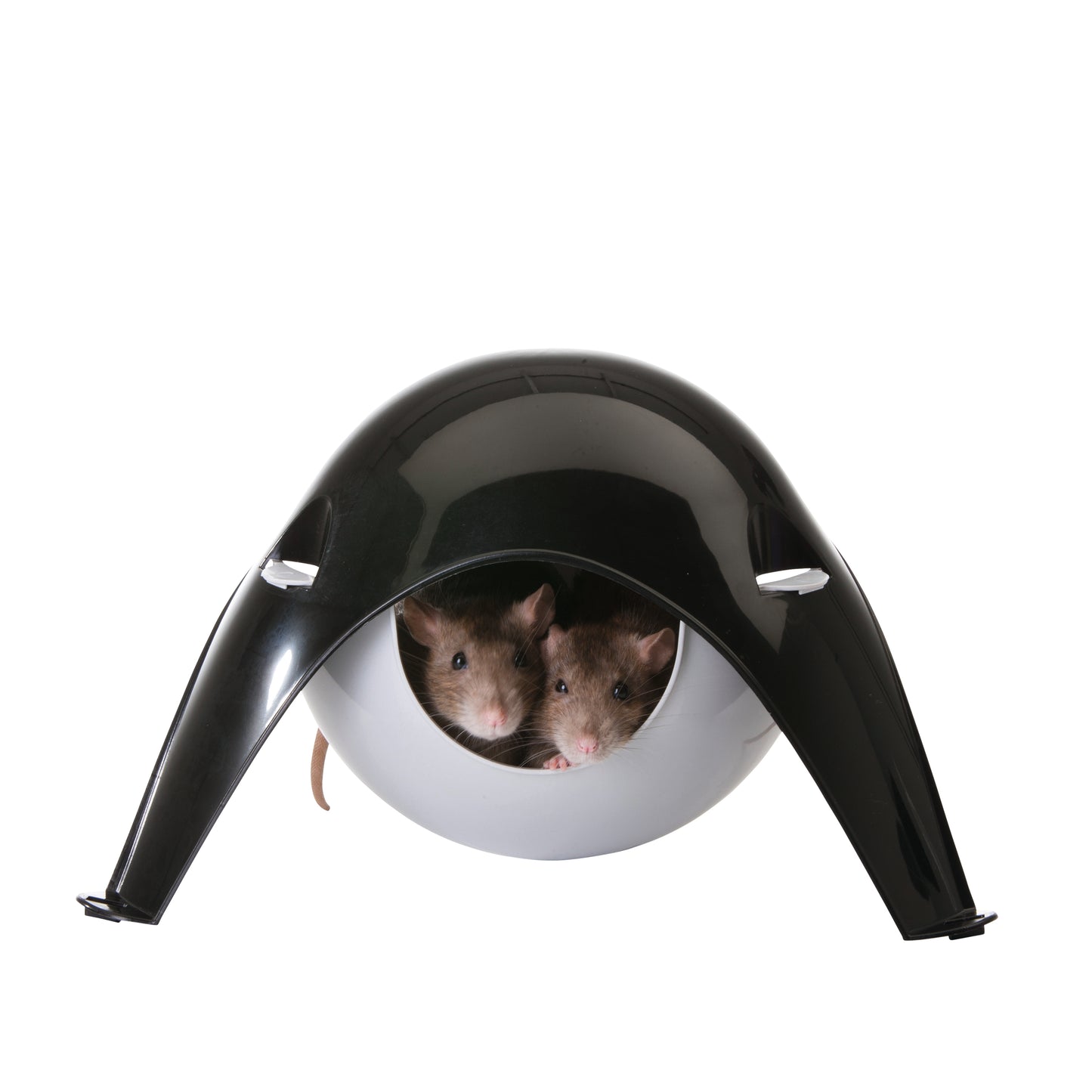 Sputnik