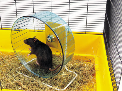Hamsterrolle "Rolly Wheel"