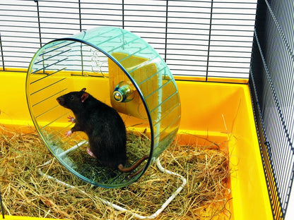 Hamsterrolle "Rolly Wheel"