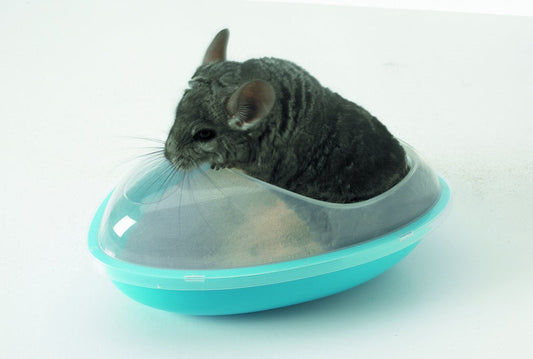 Chinchilla Badehaus
