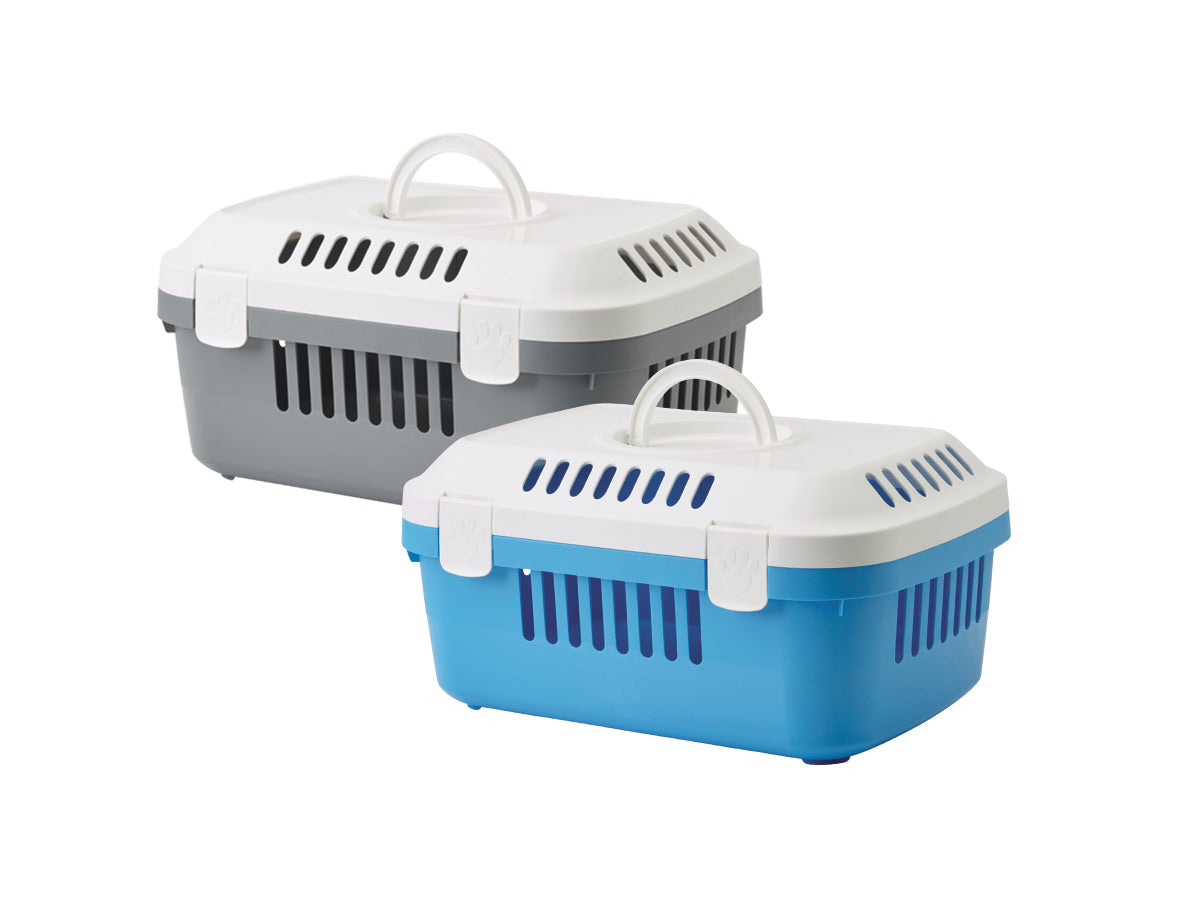Transportbox Discovery Compact