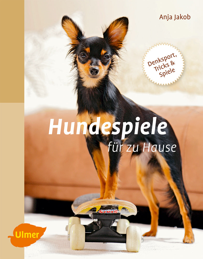 Hunde Spiele