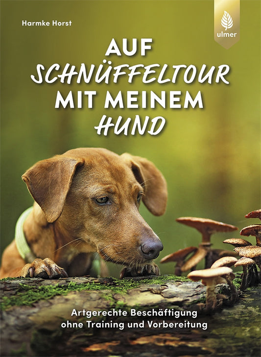 Auf SchnÃ¼ffeltour mit meinem Hund