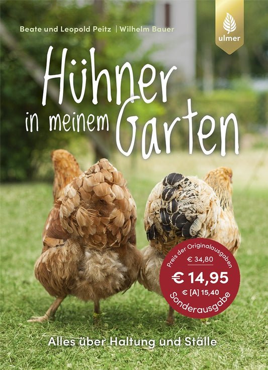 Hühner in meinem Garten