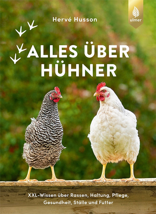 Alles über Hühner
