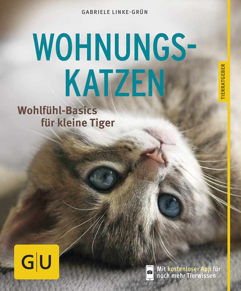Wohnungskatzen