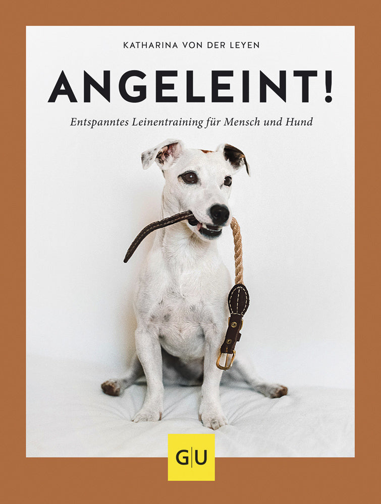 Angeleint!