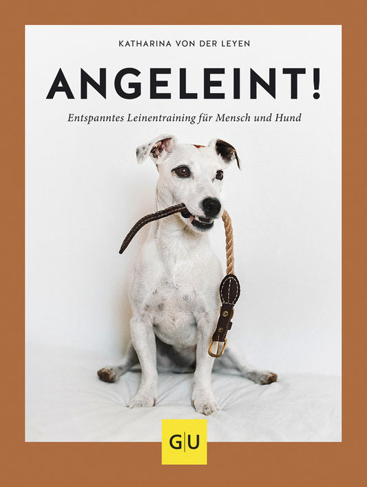 Angeleint!
