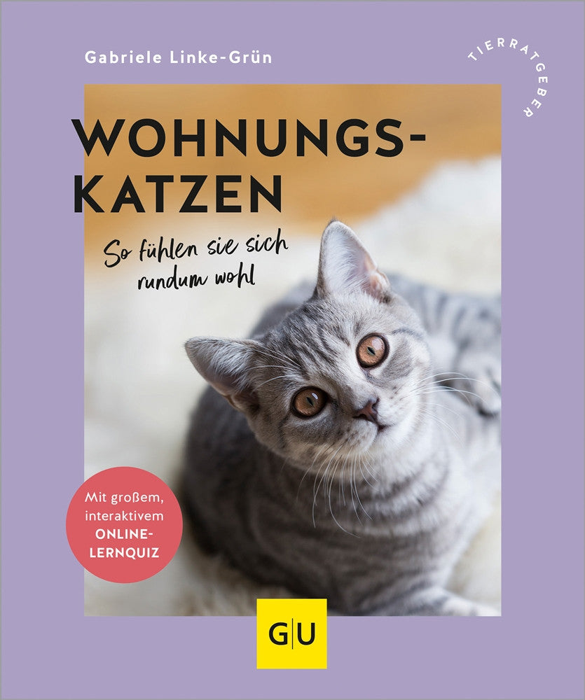 Wohnungskatzen, So fühlen sie sich rundum wohl