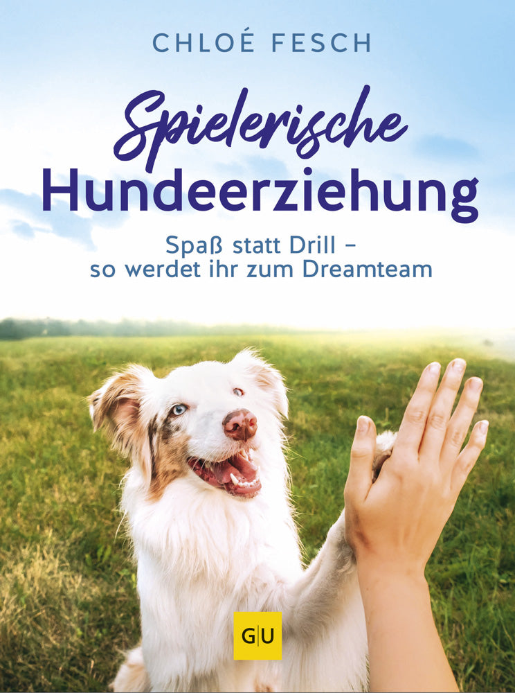 Spielerische Hundeerziehung