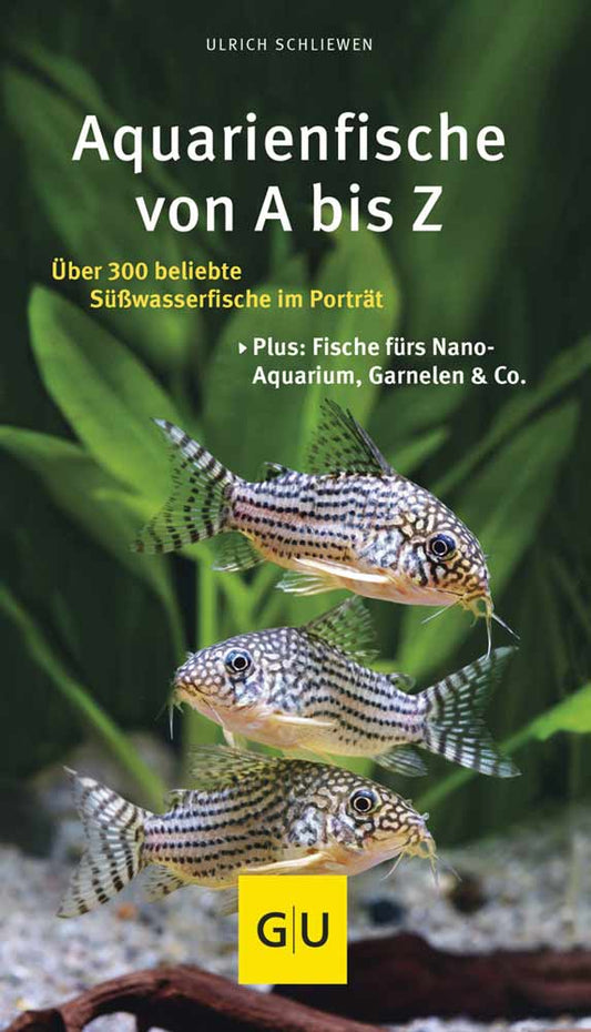 Kompass: Aquarienfische
