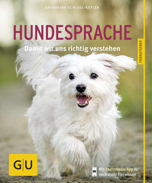 Hundesprache, richtig deuten & verstehen