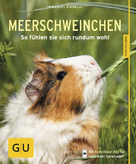 Meerschweinchen Tierratgeber