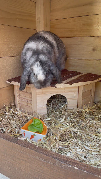 WOODLAND Nagerhaus "Gordi“